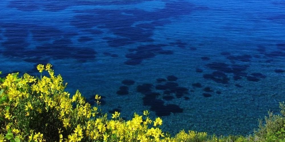 Felciato a Capolivieri, Isola d’Elba